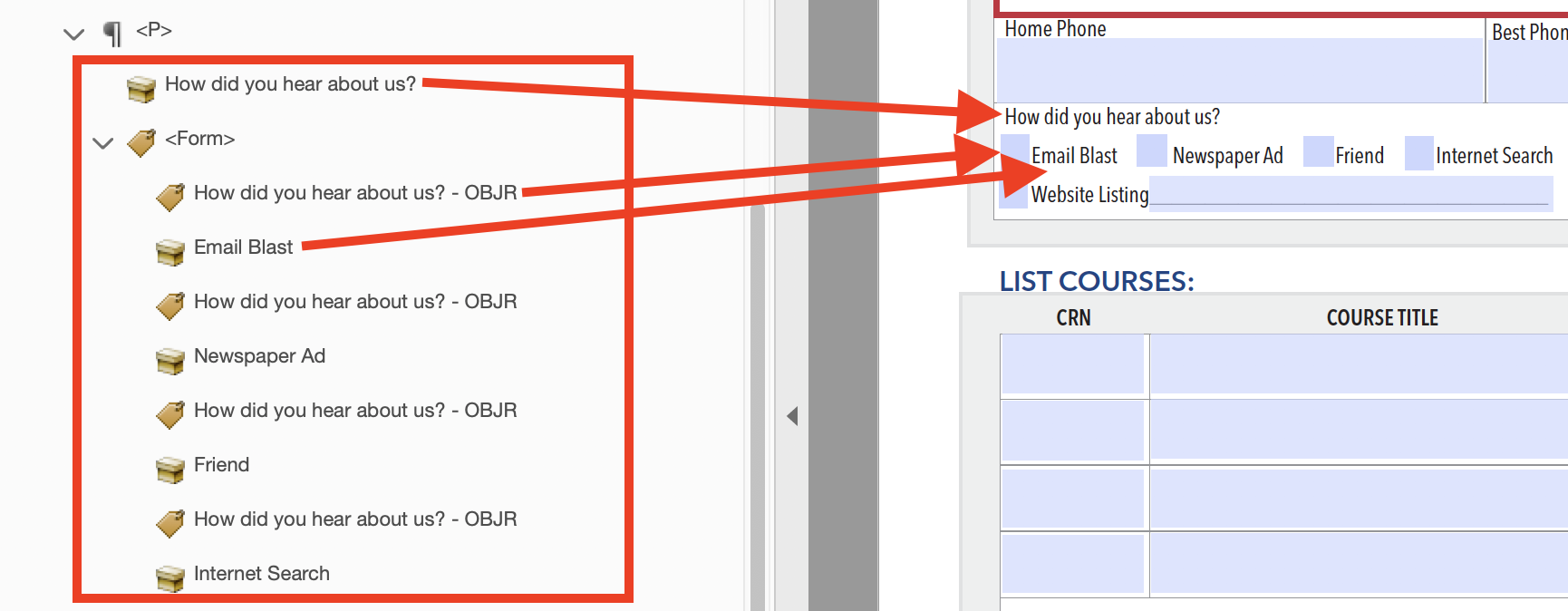 Screenshot showing the Tags panel and the main PDF viewing window in Adobe Acrobat. The tags nested inside a Form tag are associated with checkbox options in the PDF. Red arrows start at the tags in the tags panel and point at their associated elements in the PDF.